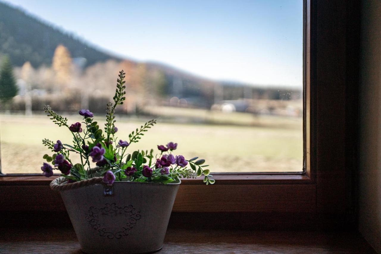 Apartamenty Bogowka 11 Zakopane Exteriér fotografie